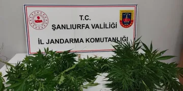 Manavgat’ta otelde klor gazı sızıntısından 25 kişi etkilendi