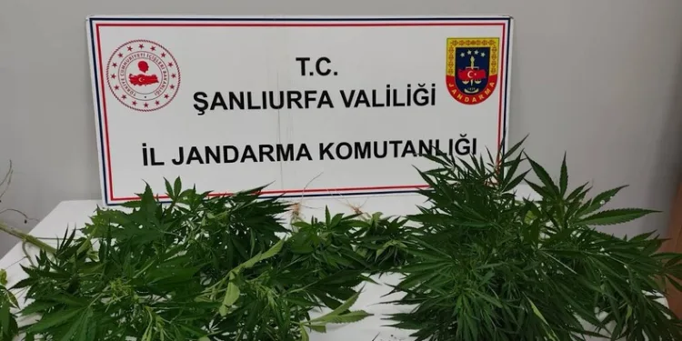 Manavgat’ta otelde klor gazı sızıntısından 25 kişi etkilendi