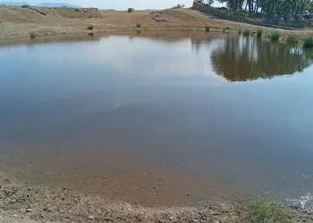 Manavgat’ta otelde klor gazı sızıntısından 25 kişi etkilendi