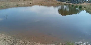 Manavgat’ta otelde klor gazı sızıntısından 25 kişi etkilendi