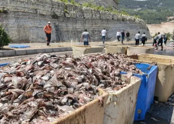 Beylikdüzü’nde taksinin bagajındaki valizde 23 kilogram kokain bulundu: 4 gözaltı