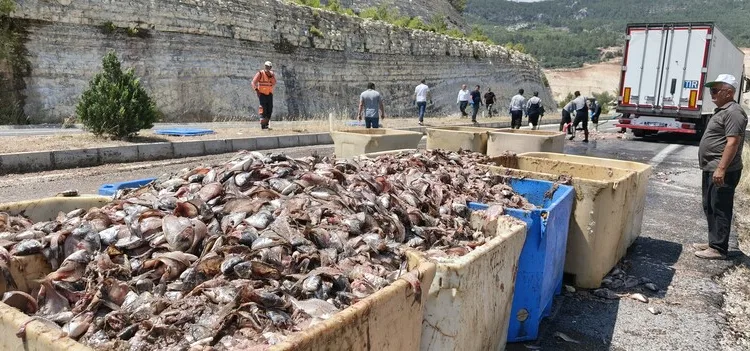 Beylikdüzü’nde taksinin bagajındaki valizde 23 kilogram kokain bulundu: 4 gözaltı