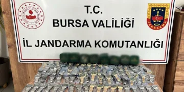 Siirt’te seyir halindeki otomobil alev aldı