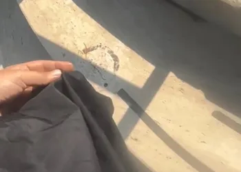 Siirt’te seyir halindeki otomobil alev aldı