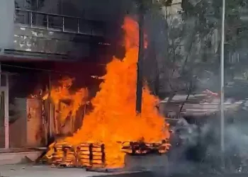 Siber suçlarla mücadele kapsamında düzenlenen operasyonlarda 193 şüpheli yakalandı
