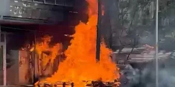 Siber suçlarla mücadele kapsamında düzenlenen operasyonlarda 193 şüpheli yakalandı