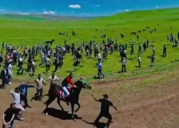 Siber suçlarla mücadele kapsamında düzenlenen operasyonlarda 193 şüpheli yakalandı