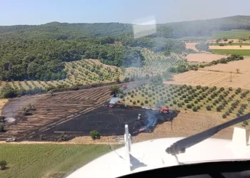 Siber suçlarla mücadele kapsamında düzenlenen operasyonlarda 193 şüpheli yakalandı
