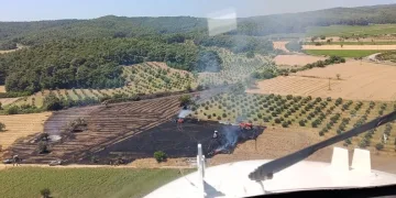 Siber suçlarla mücadele kapsamında düzenlenen operasyonlarda 193 şüpheli yakalandı