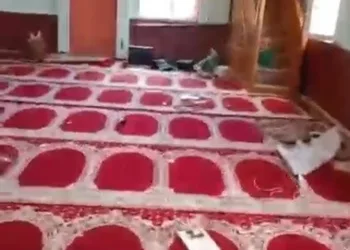 Siber suçlarla mücadele kapsamında düzenlenen operasyonlarda 193 şüpheli yakalandı