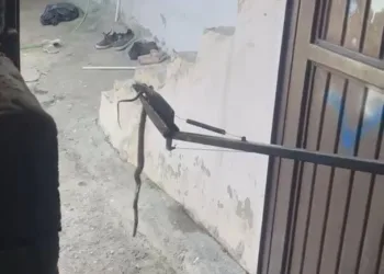 Bolu’da kazadan kıl payı kurtuldular: O anlar kamerada