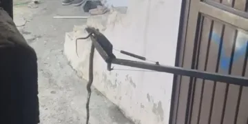 Bolu’da kazadan kıl payı kurtuldular: O anlar kamerada