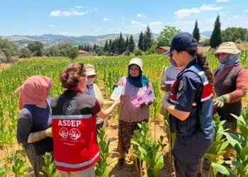 Samsun’da DEAŞ operasyonu: 2 gözaltı