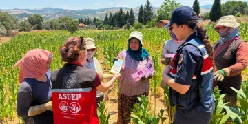 Samsun’da DEAŞ operasyonu: 2 gözaltı