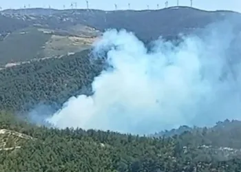Manisa Soma’da orman yangını. Ekipler müdahale ediyor