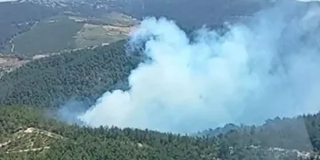 Manisa Soma’da orman yangını. Ekipler müdahale ediyor