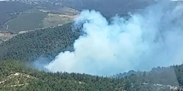 Manisa Soma’da orman yangını. Ekipler müdahale ediyor