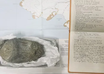 Antarktika’dan ilk dinozor kemiği bir çekmecede bulundu