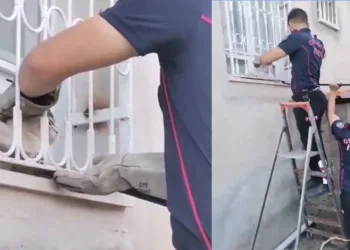 Patisi pencere demirine sıkışan kediyi itfaiye kurtardı