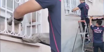 Patisi pencere demirine sıkışan kediyi itfaiye kurtardı