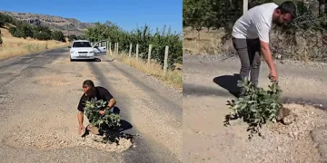 Çermik’te oluşan çukurlara ağaç dikerek yolların yapılmamasını protesto ettiler