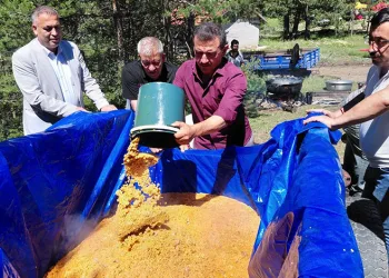 Bolu’da bir asırdır süren geleneksel Şimşir bayramı düzenlendi