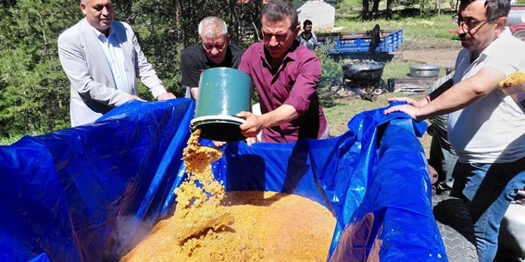 Bolu’da bir asırdır süren geleneksel Şimşir bayramı düzenlendi