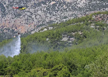 Antalya’da ormanlık alanda çıkan yangın büyümeden kontrol altına alındı