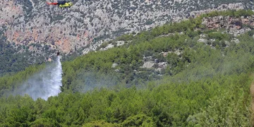Antalya’da ormanlık alanda çıkan yangın büyümeden kontrol altına alındı