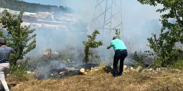 Anız yangını kontrolden çıkıp ormana sıçradı