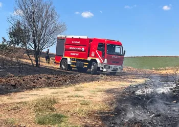 Tekirdağ’da 25 dönüm buğday ekili alan yandı