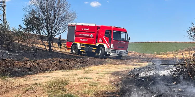 Tekirdağ’da 25 dönüm buğday ekili alan yandı