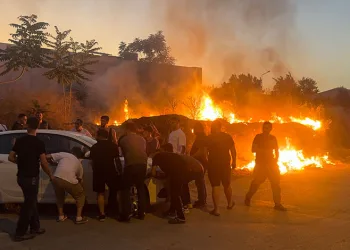 Bursa’da çöp yangını çalılığa sıçradı