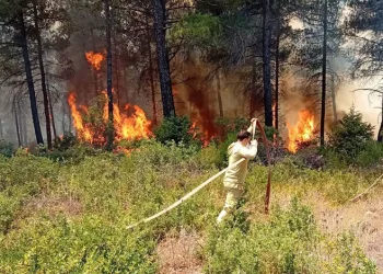 Bursa’da orman yangını! Ekipler havadan ve karadan müdahale ediyor
