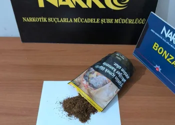 Ordu’da uyuşturucu operasyonlarında 1 tutuklama