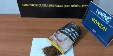 Ordu’da uyuşturucu operasyonlarında 1 tutuklama