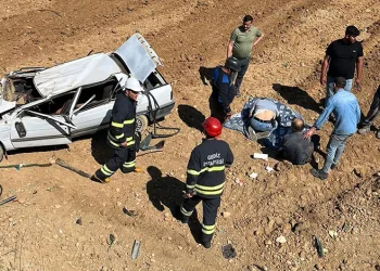 Gediz’de otomobil tarlaya uçtu, 2 yaralı