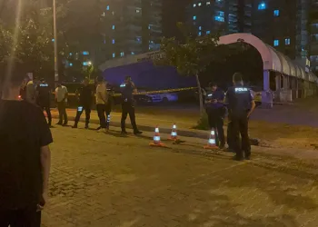 Şanlıurfa’da silahlı kavga: Anne öldü, oğlu yaralandı