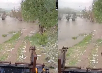 Bolu’da sağanak yağış dereleri taşırdı