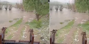 Bolu’da sağanak yağış dereleri taşırdı