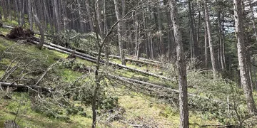 Kütahya Türkmen Dağı’nda doğa felaketi
