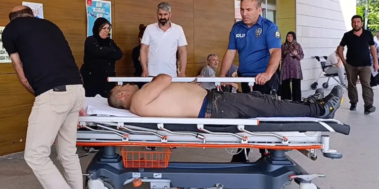 Kiraz toplamak için ağaca çıktı, düşerek ağır yaralandı