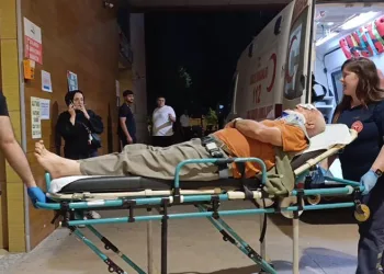 Erik toplamak için çıktığı ağaçtan düşerek yaralandı