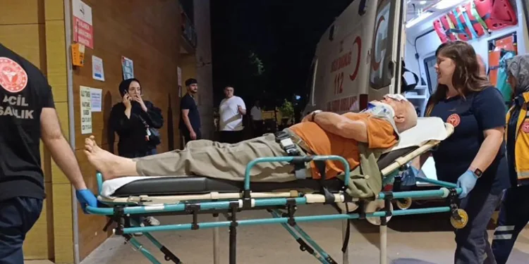 Erik toplamak için çıktığı ağaçtan düşerek yaralandı
