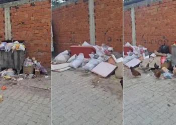 2 haftadır alınmayan çöpler tepki çekti