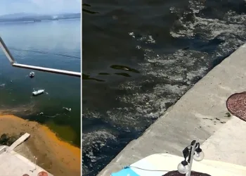 Müsilaj yeniden Gemlik Körfezi’nde