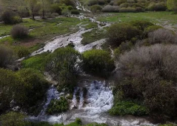 Ağ Nene’nin gizemli suyu yeniden uyandı