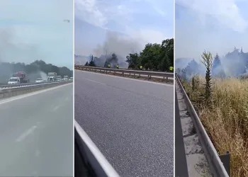 İzmir-Bursa kara yolunda alevler korkuttu