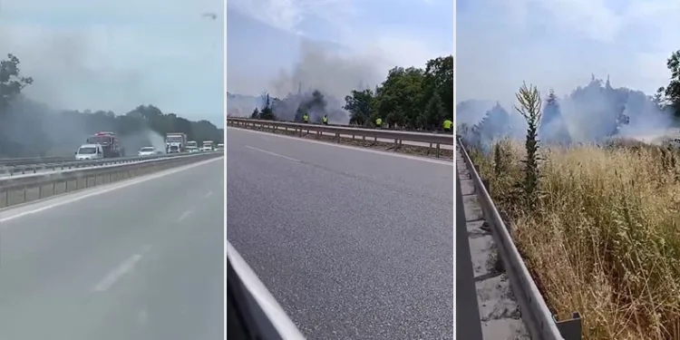 İzmir-Bursa kara yolunda alevler korkuttu