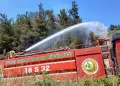 Bursa’da piknik alanı yakınındaki yangın korkuttu